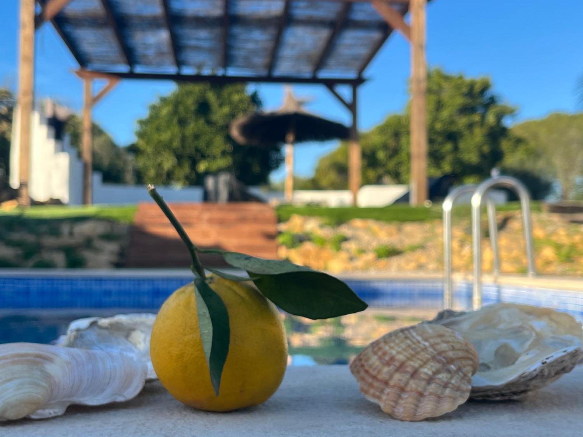 Quinta Da Layla Villa Olhao Bagian luar foto